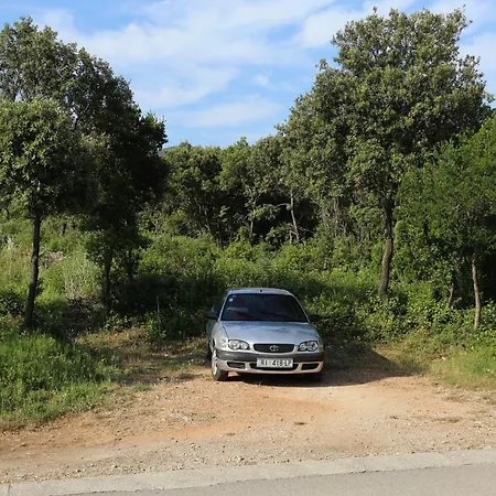 By The Sea Drace, Peljesac - 4535 * Janjina