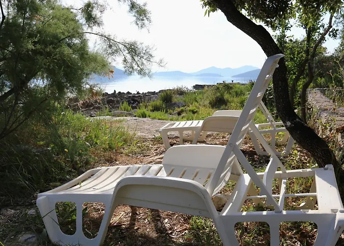 By The Sea Drace, Peljesac - 4535 * Janjina