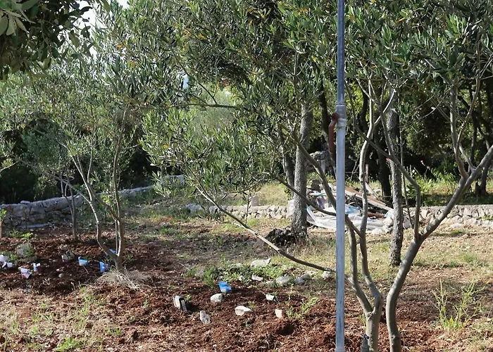 By The Sea Drace, Peljesac - 4535 Apartment