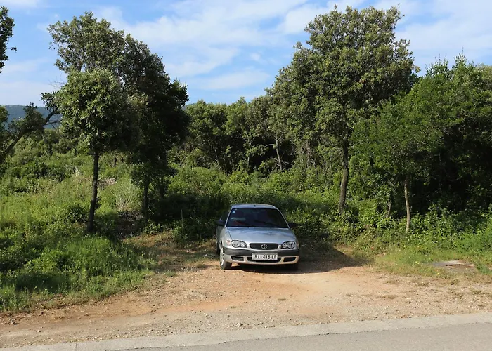 By The Sea Drace, Peljesac - 4535 * Janjina